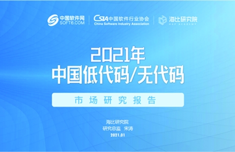 2021年中国低代码/无代码市场研究报告