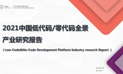 《2021中国低代码/零代码全景产业研究报告》全文分享